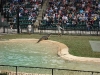 australian_zoo12