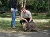 australian_zoo14