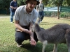 australian_zoo24