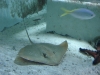 reef_hq06